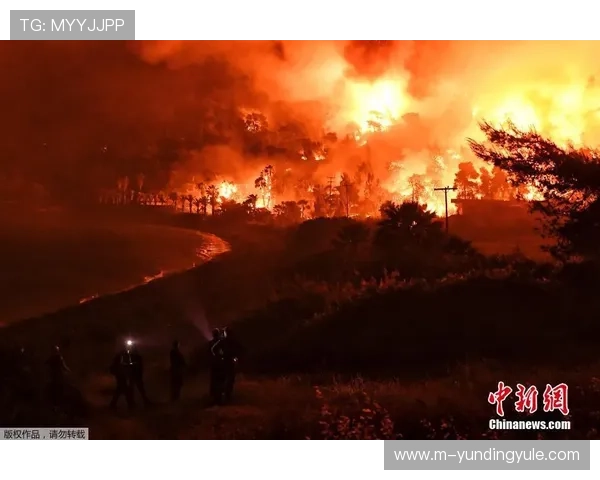 云顶国际体育首页在哪找到官方登录入口的详细步骤