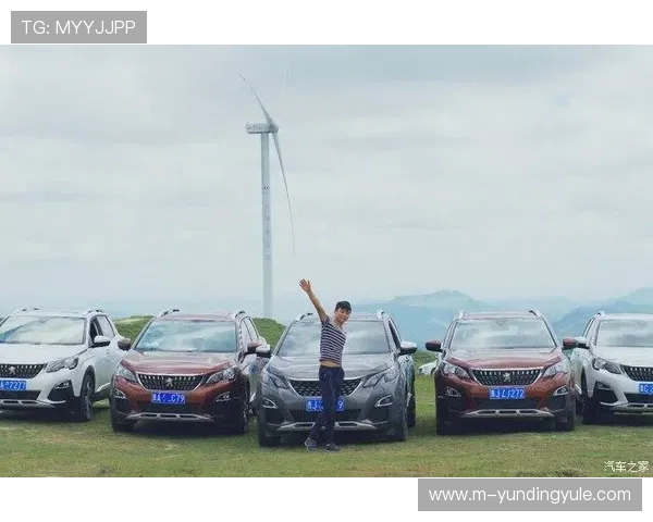 云顶国际4008服务平台：实现多平台无缝对接的先进技术方案