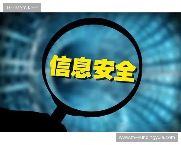 云顶网站网址安全访问指南,保障玩家个人信息安全与游戏账号安全