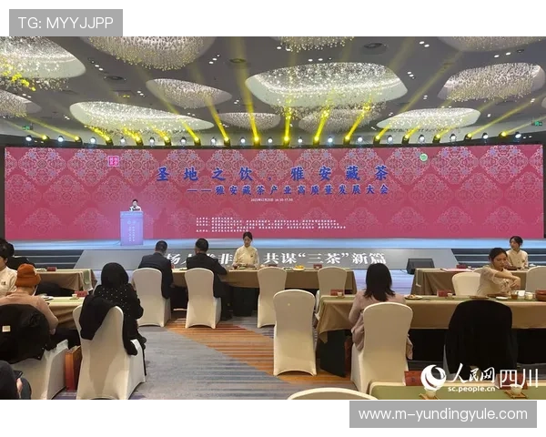 在马来西亚云顶赌城赢钱的真实案例和专家建议全方位解读